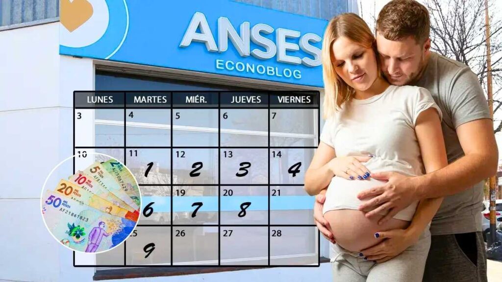 Asignación por embarazo enero 2026 fechas de cobro confirmadas requisitos y pasos para solicitarla