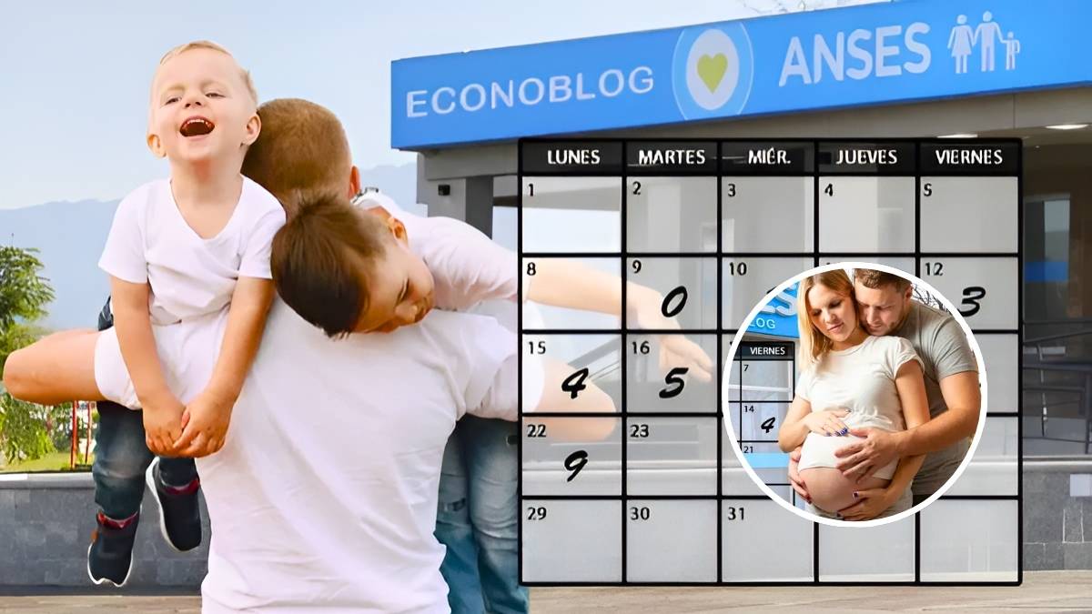 ANSES febrero 2026 Guía completa de pagos y bonos para beneficiarios